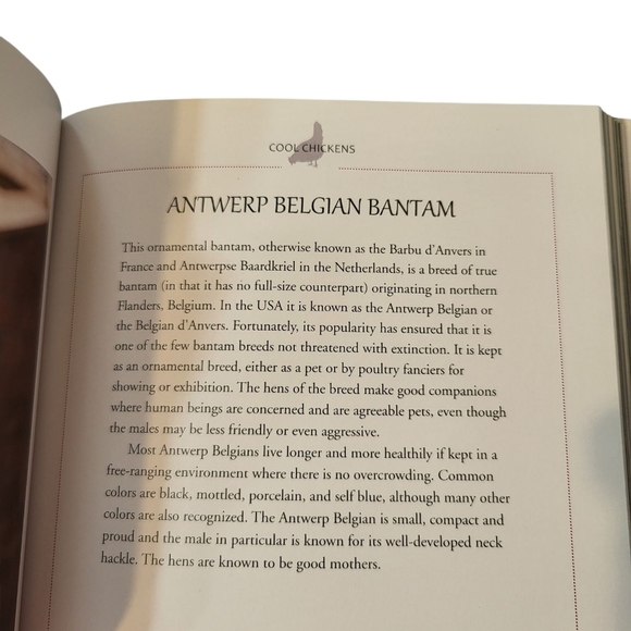 Cool Chickens Book NEW By Fern Collins - Picture 4 of 14